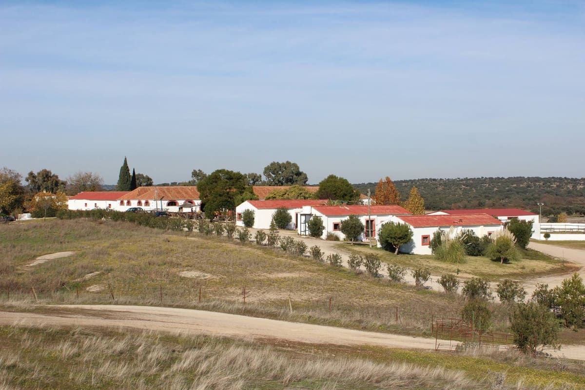 La finca vista desde la loma: el cortijo de fachada blanca y tejados rojos entre encinas y dehesa
